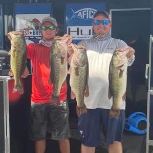 Meet your Posher, Dillon